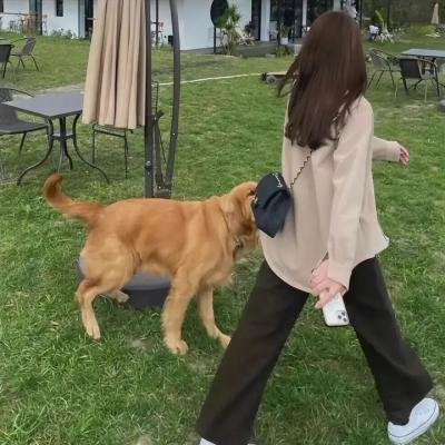 遗香录 在线观看